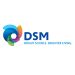 DSM-Logo